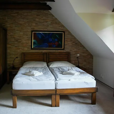 De Luxe S Vyhladom Na Lomnicky Stit Apartman Tátralomnic