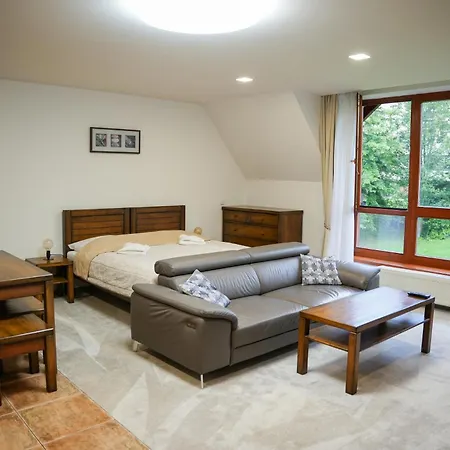 Apartman De Luxe S Vyhladom Na Lomnicky Stit Apartment *