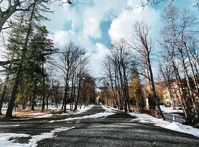 De Luxe S Vyhladom Na Lomnicky Stit